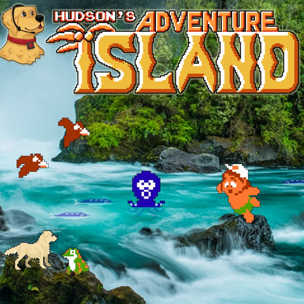 Hudson's Adventure Island