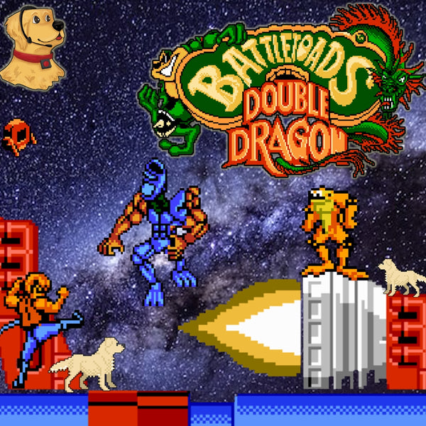 Battletoads & Double Dragon