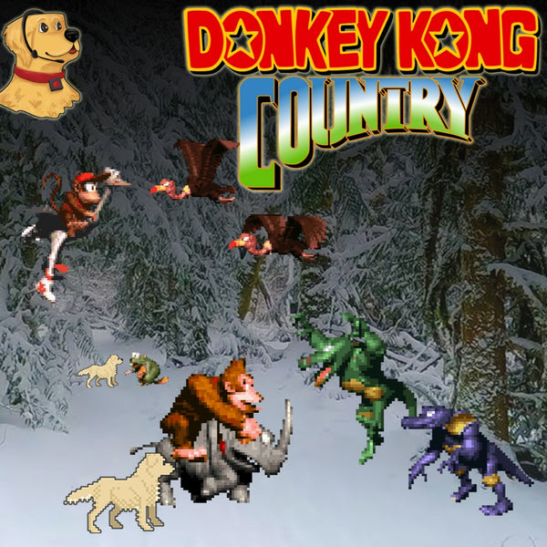 Donkey Kong Country