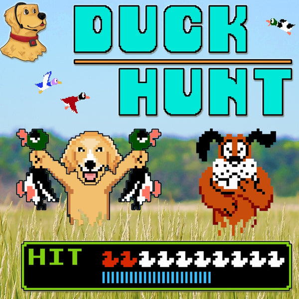 Duck Hunt