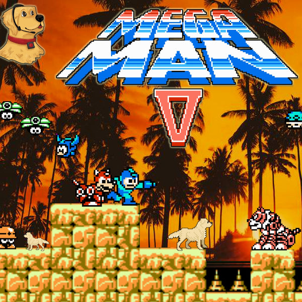 Mega Man V