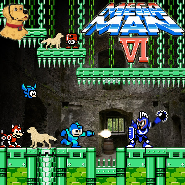 Mega Man VI
