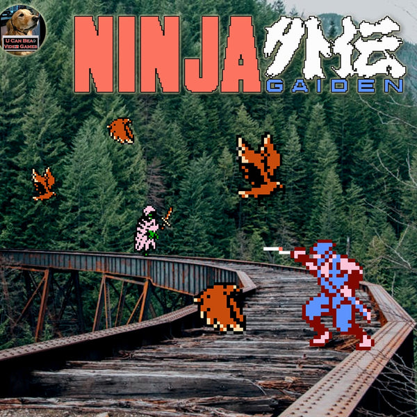 Ninja Gaiden