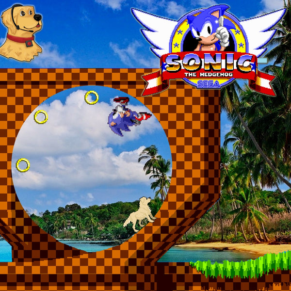 Sonic the Hedgehog