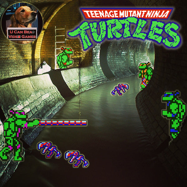Teenage Mutant Ninja Turtles